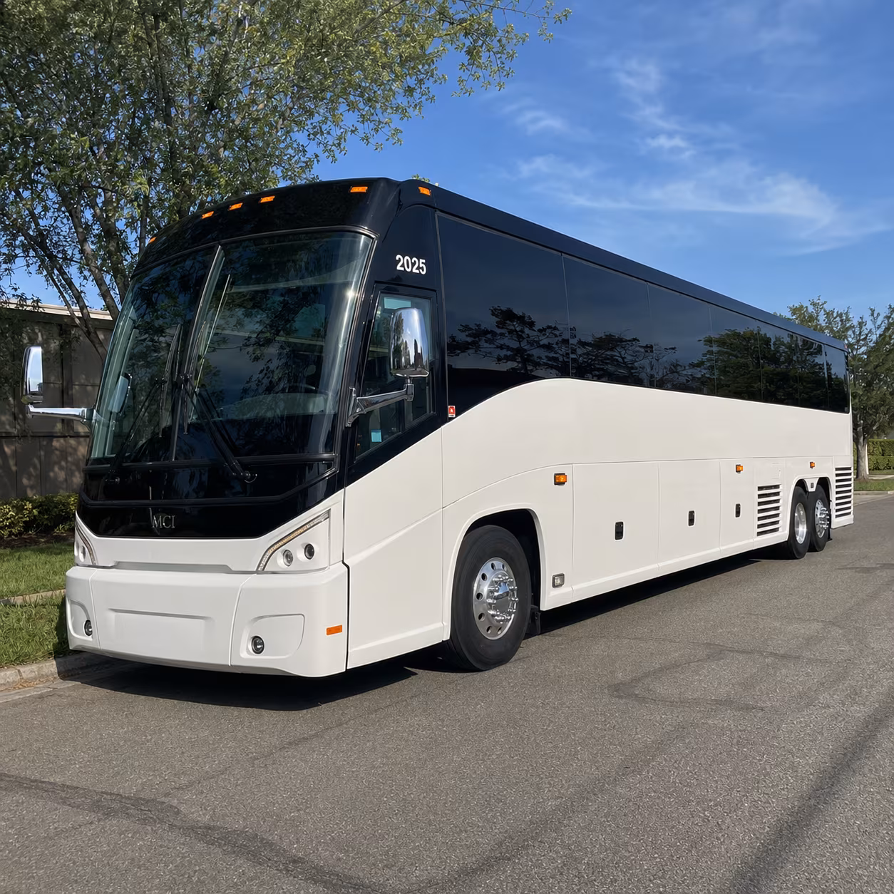 transportation for tongan church gatherings and large cultural events